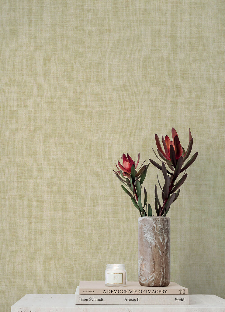 Alba, Cream