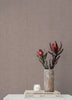 Alba, Rose