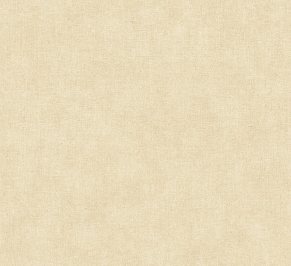 Nuovo Ivory | Jeffrey Stevens