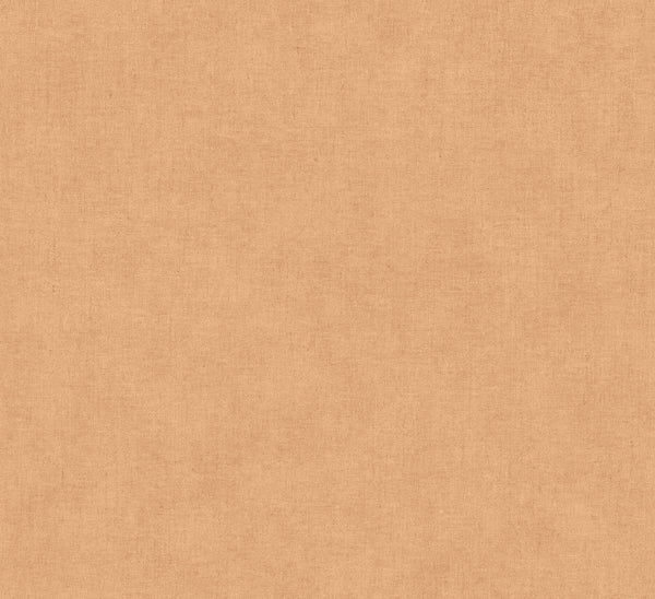 Nuovo Apricot | Jeffrey Stevens