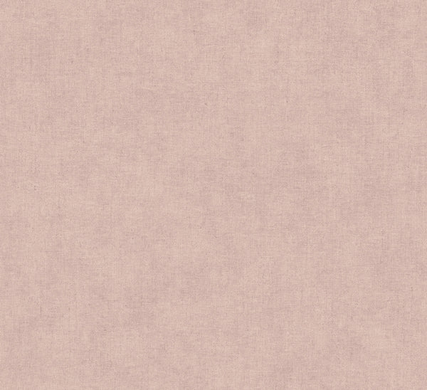 Nuovo Rose | Jeffrey Stevens