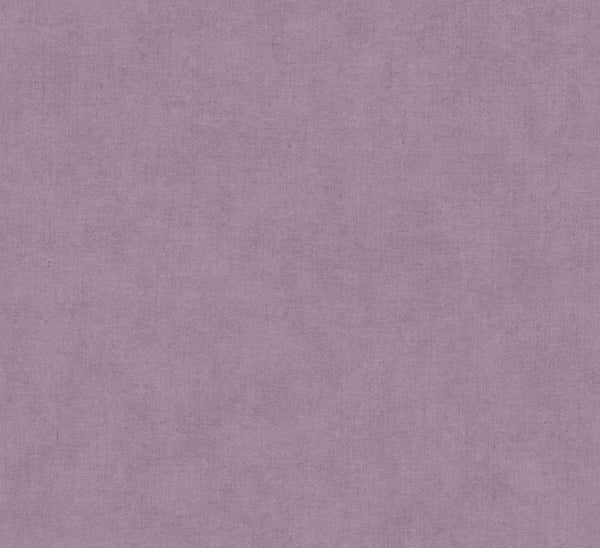 Nuovo Purple | Jeffrey Stevens
