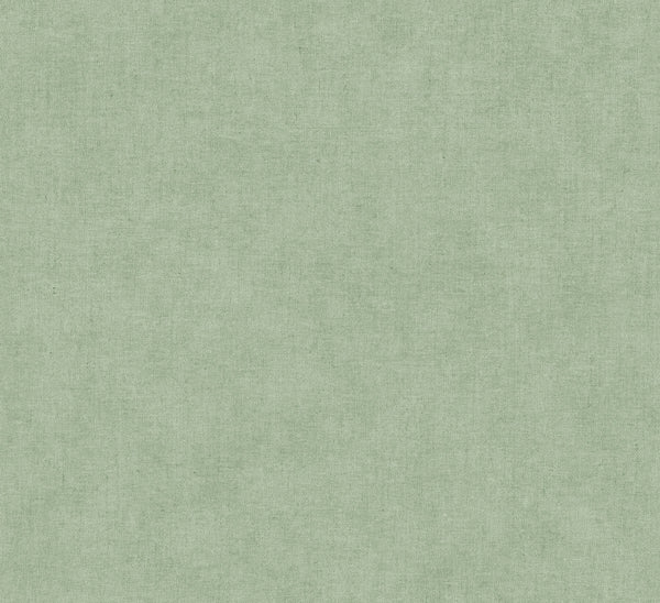 Nuovo Light Green | Jeffrey Stevens