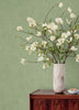 Nuovo, Light Green