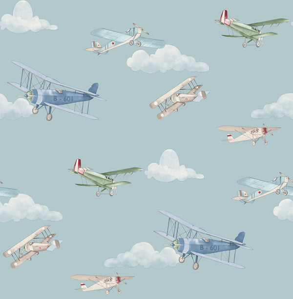Aeroplanes Blue | Jeffrey Stevens