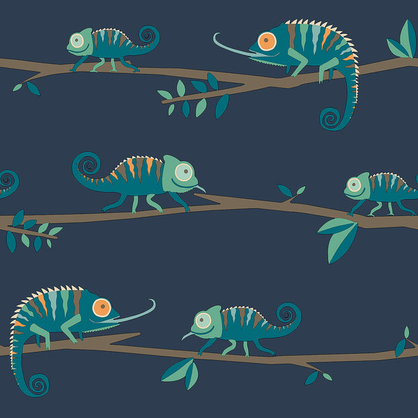 Chameleon Family Navy | Jeffrey Stevens