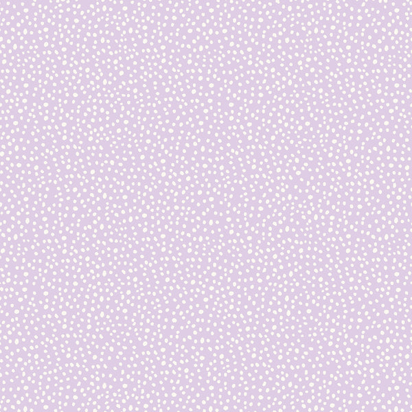 Dotty Lavender | Jeffrey Stevens