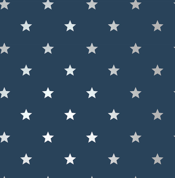 Starry Motif Dark Blue | Jeffrey Stevens