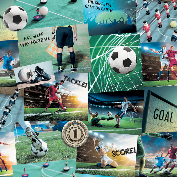 Football Fan Multicolor | Jeffrey Stevens