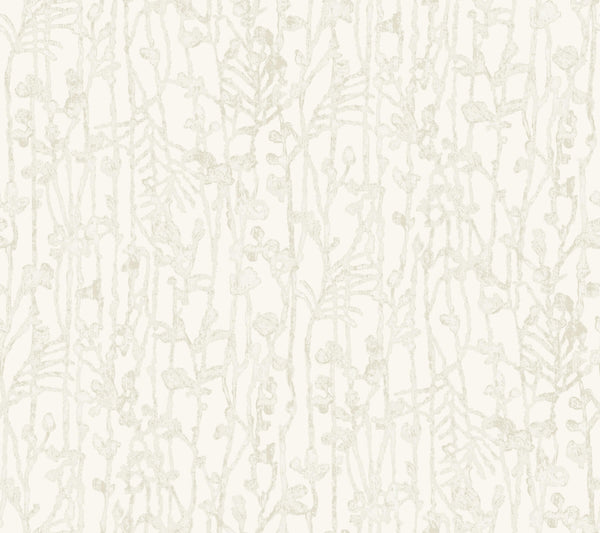 Filigree Pearl | Jeffrey Stevens