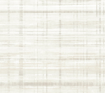 Vanishing Point Dove | Jeffrey Stevens