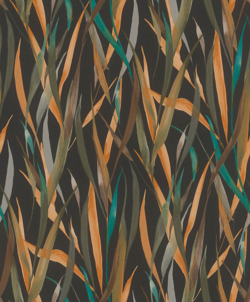 Willoughby, Black