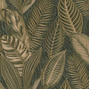 Acacius, Dark Green