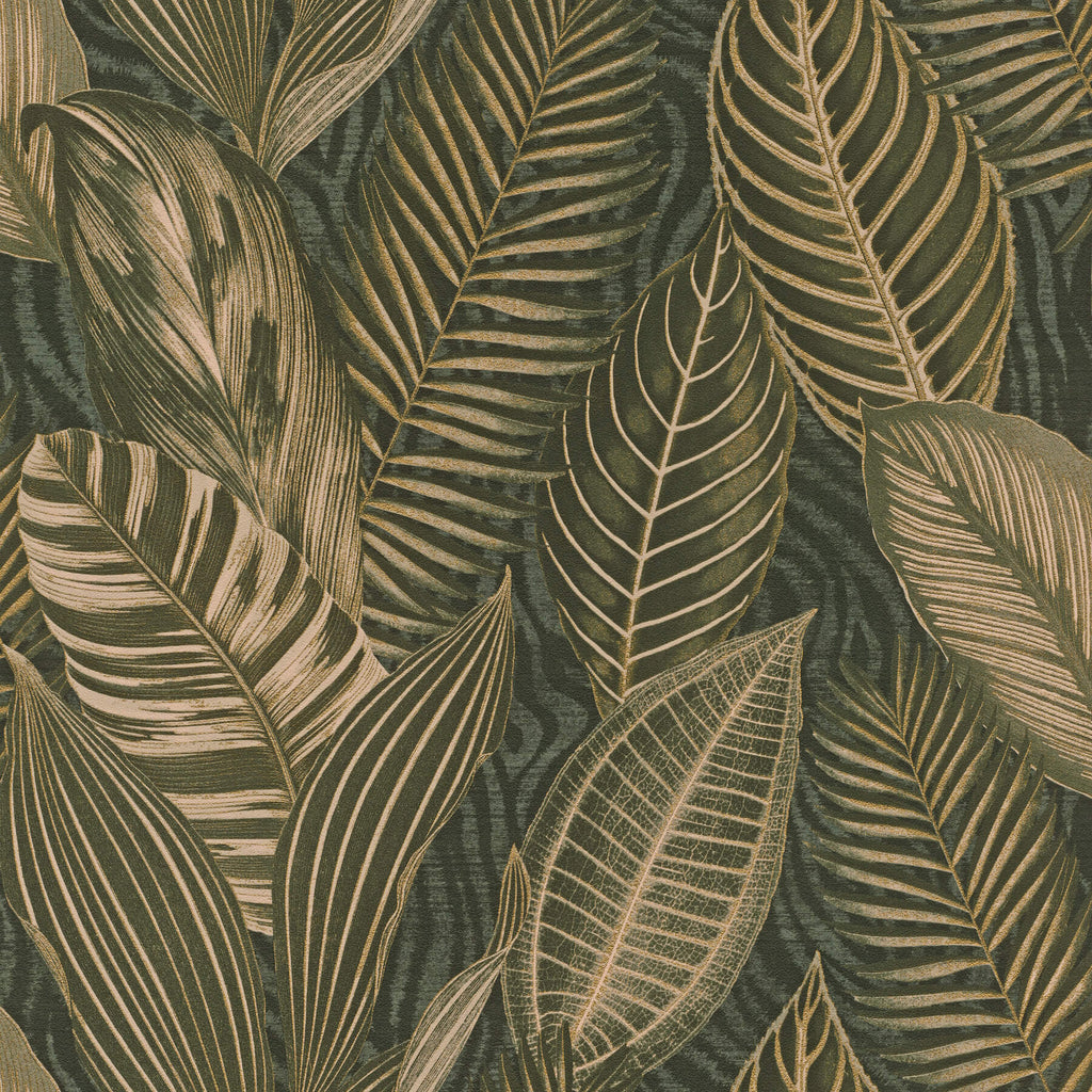 Acacius, Dark Green