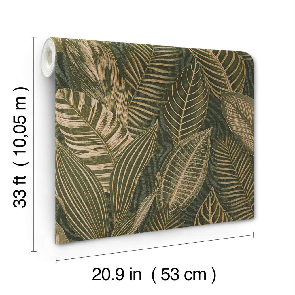 Acacius, Dark Green