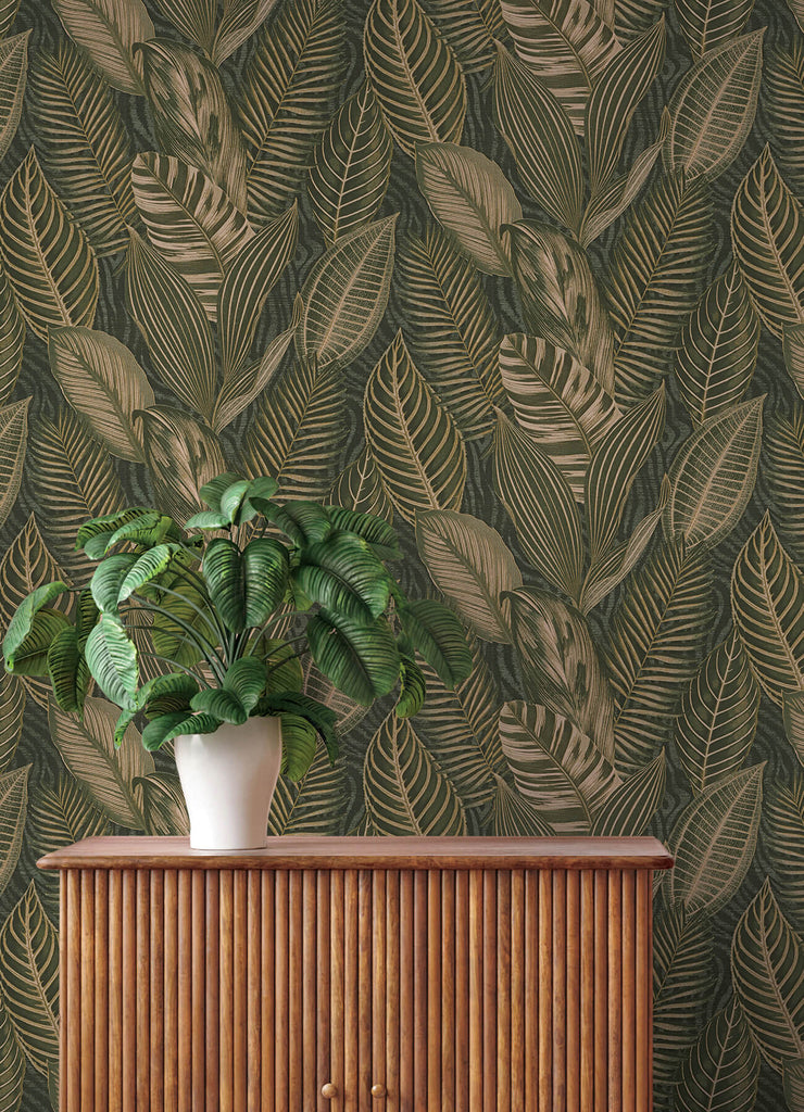 Acacius, Dark Green