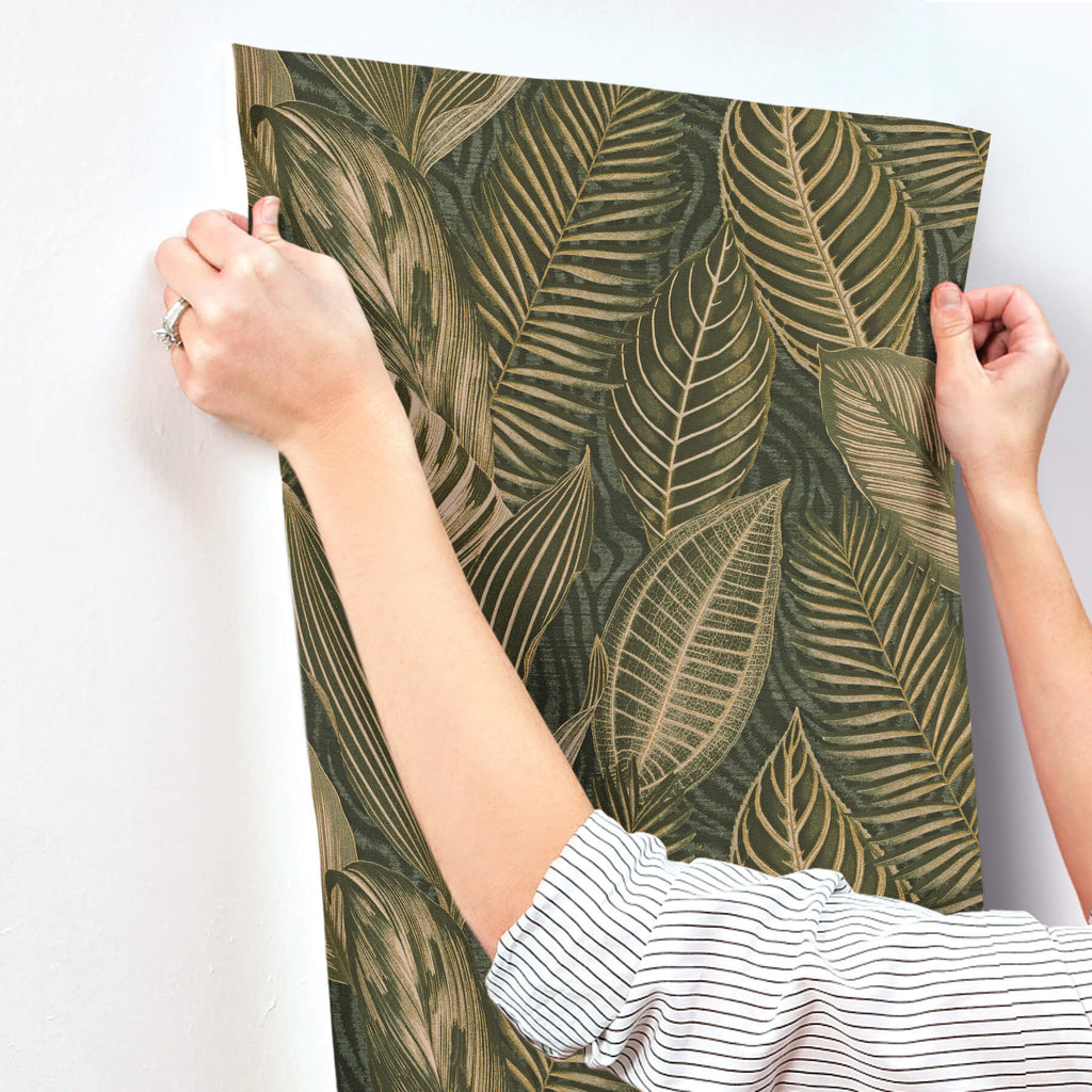 Acacius, Dark Green