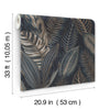 Acacius, Dark Blue