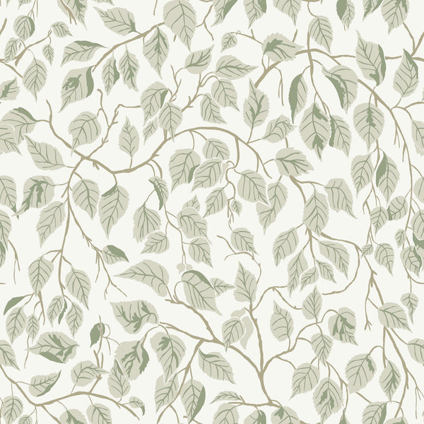 Hängbjörk, Sage Wallcoverings | Malibu Wallcovering