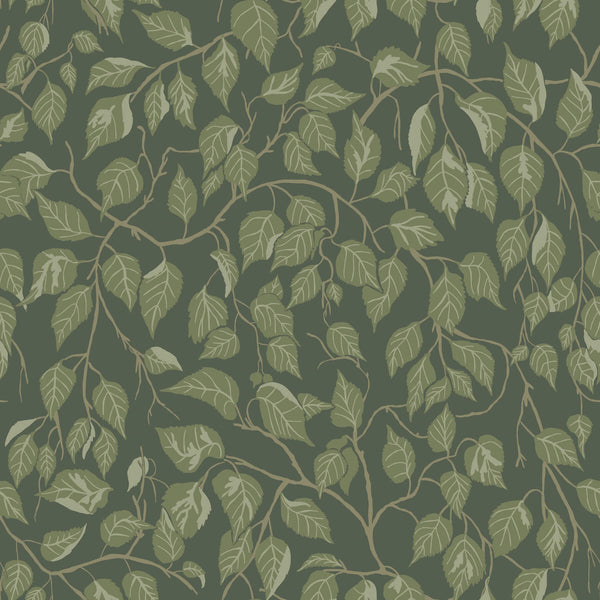 Hängbjörk, Evergreen Wallcoverings | Malibu Wallcovering