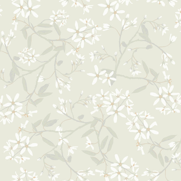 Paradis - Dove Residential Wallcovering | Jeffrey Stevens