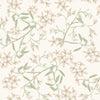 Paradis, Blush