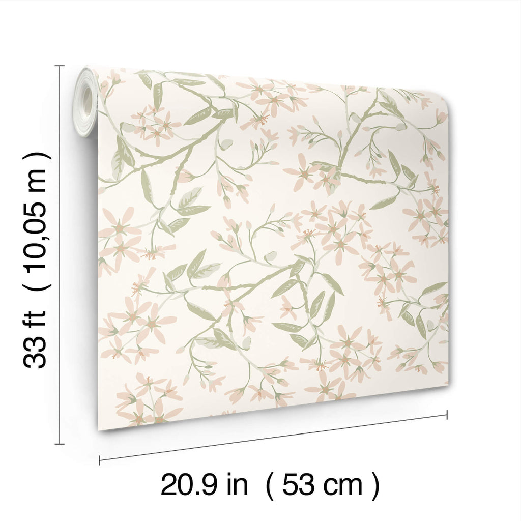 Paradis, Blush