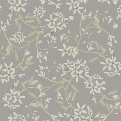 Paradis - Slate Residential Wallcovering | Jeffrey Stevens