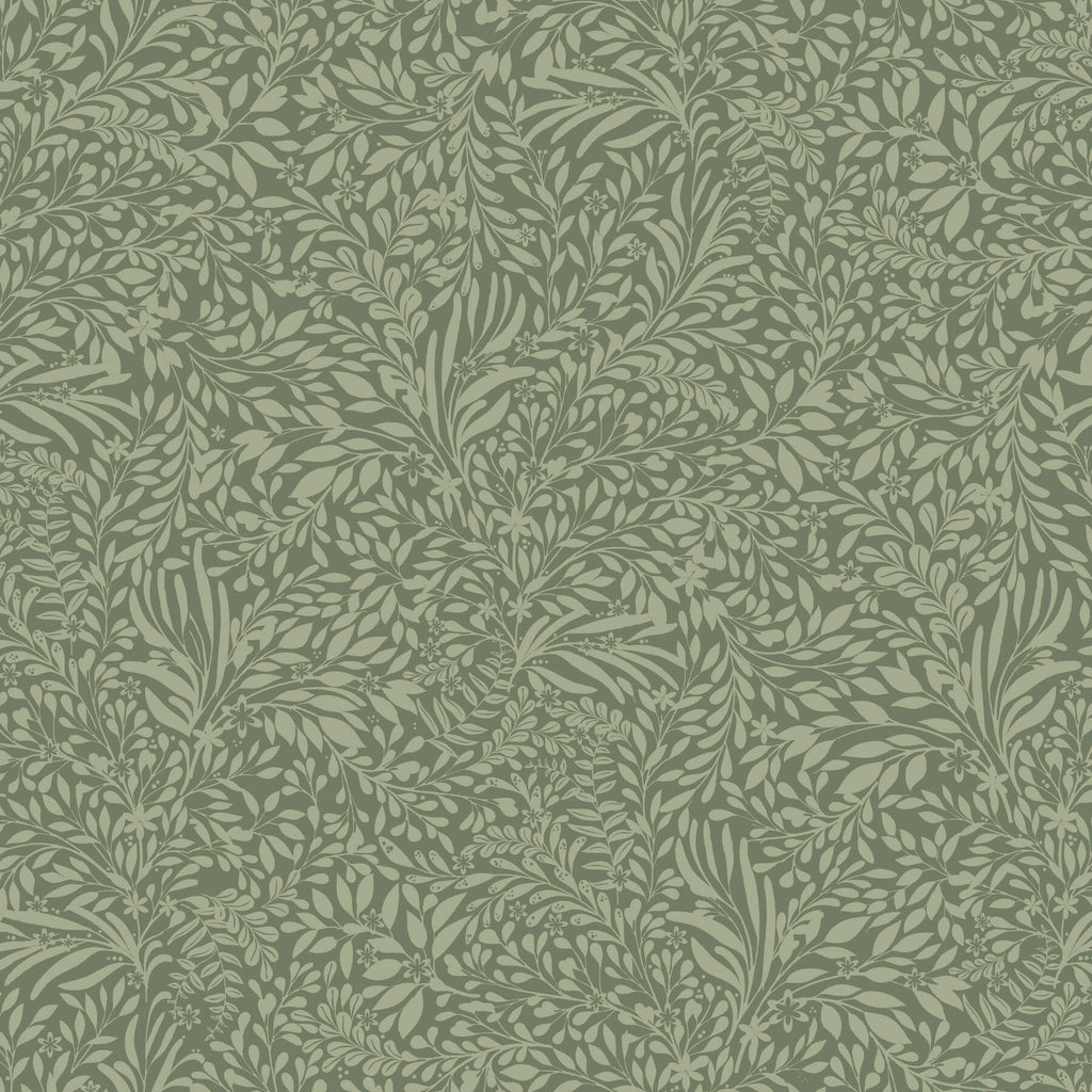 Kristina, Evergreen