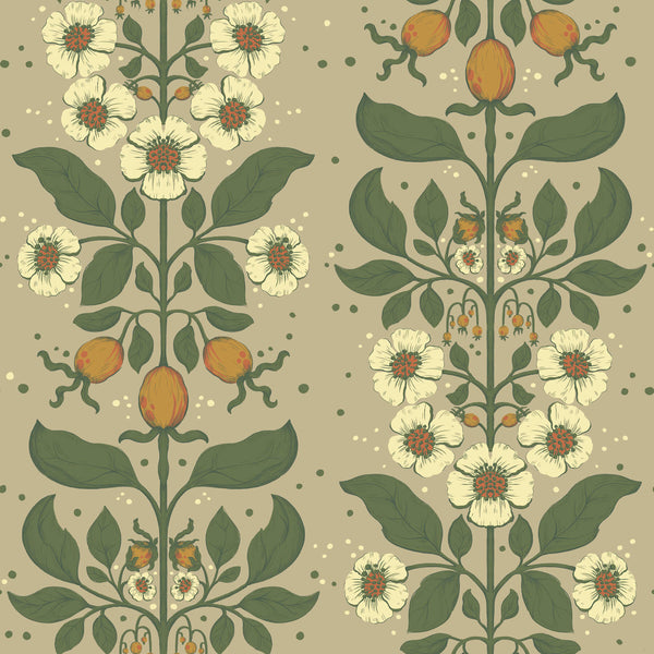 Rosa, Light Brown Wallcoverings | Malibu Wallcovering