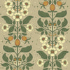 Rosa, Light Brown