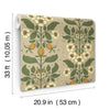Rosa, Light Brown