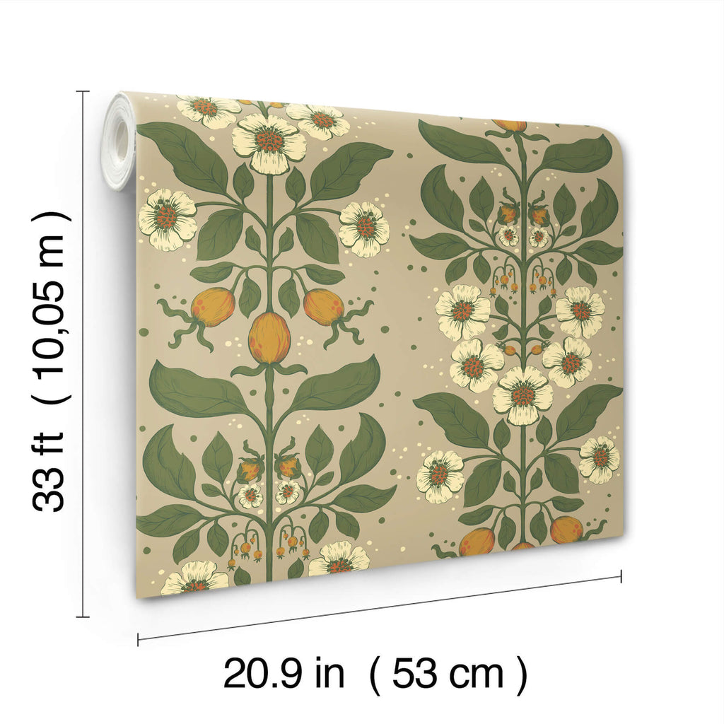 Rosa, Light Brown