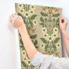 Rosa, Light Brown