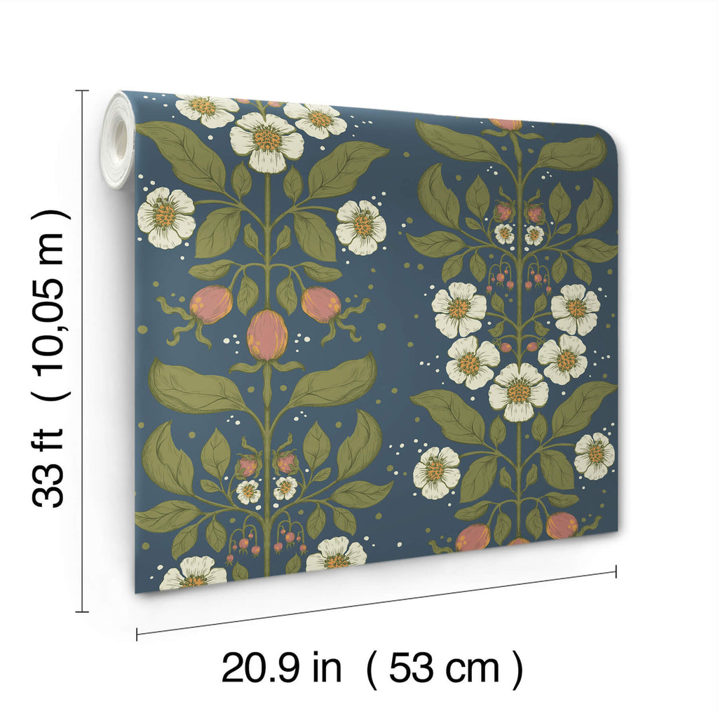 Rosa, Navy