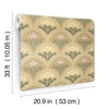Maj, Light Brown