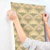 Maj, Light Brown