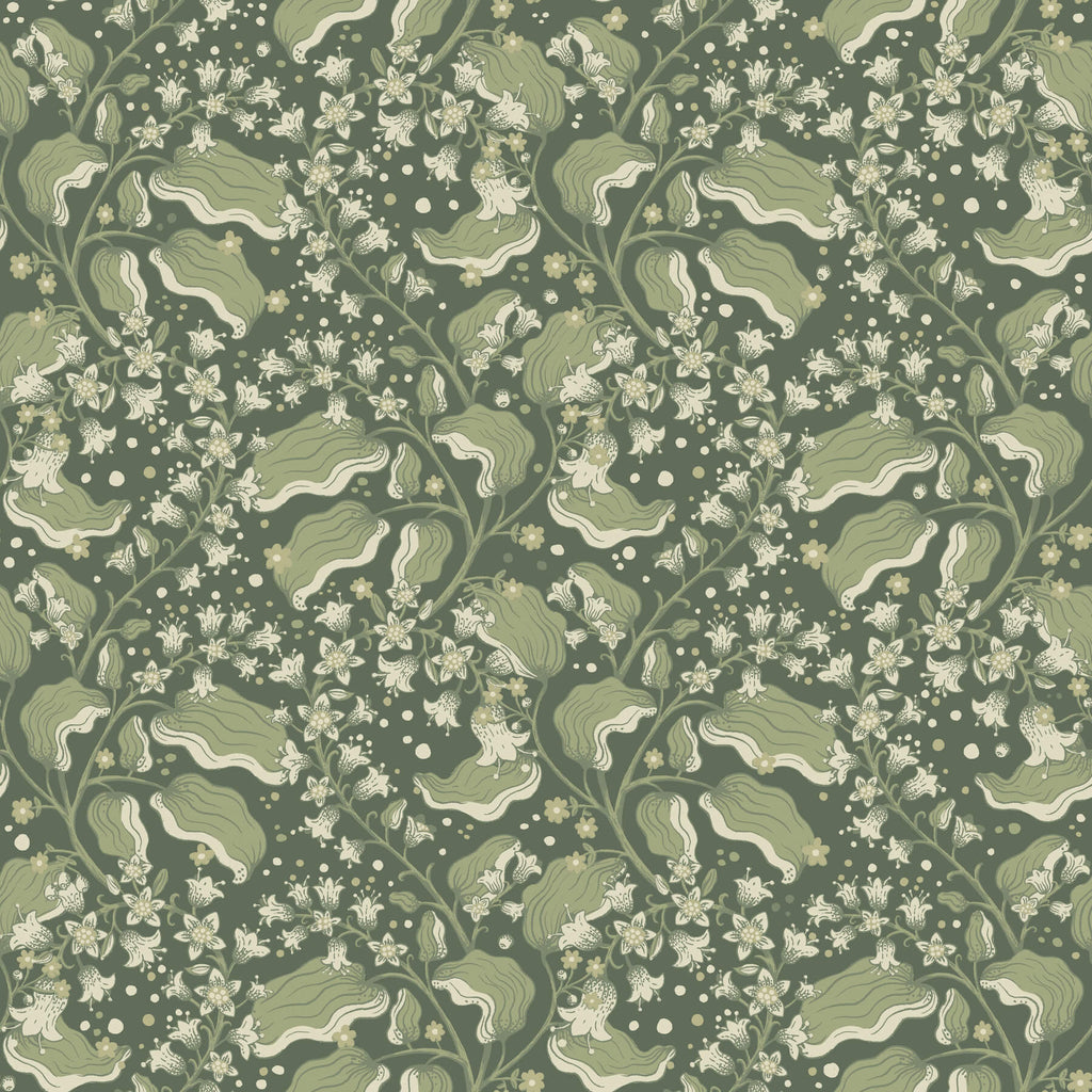 Syren, Evergreen
