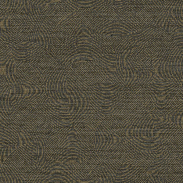 Harrison Charcoal | Jeffrey Stevens