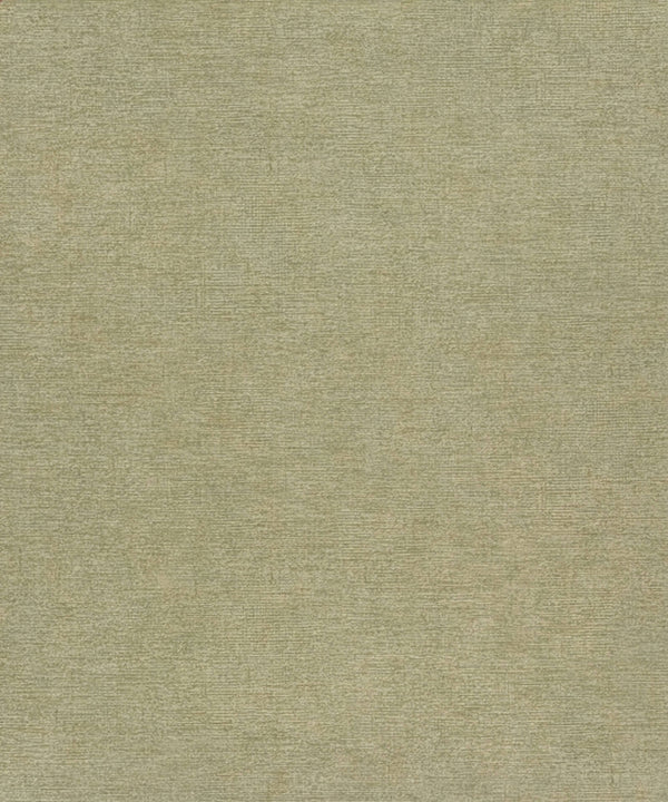 Tansy Green | Jeffrey Stevens