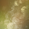 Walls By Patel 2 Yellow Wallcovering | AS Creation