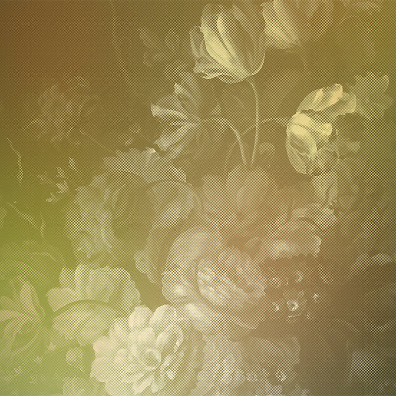 Walls By Patel 2 Yellow Wallcovering | AS Creation
