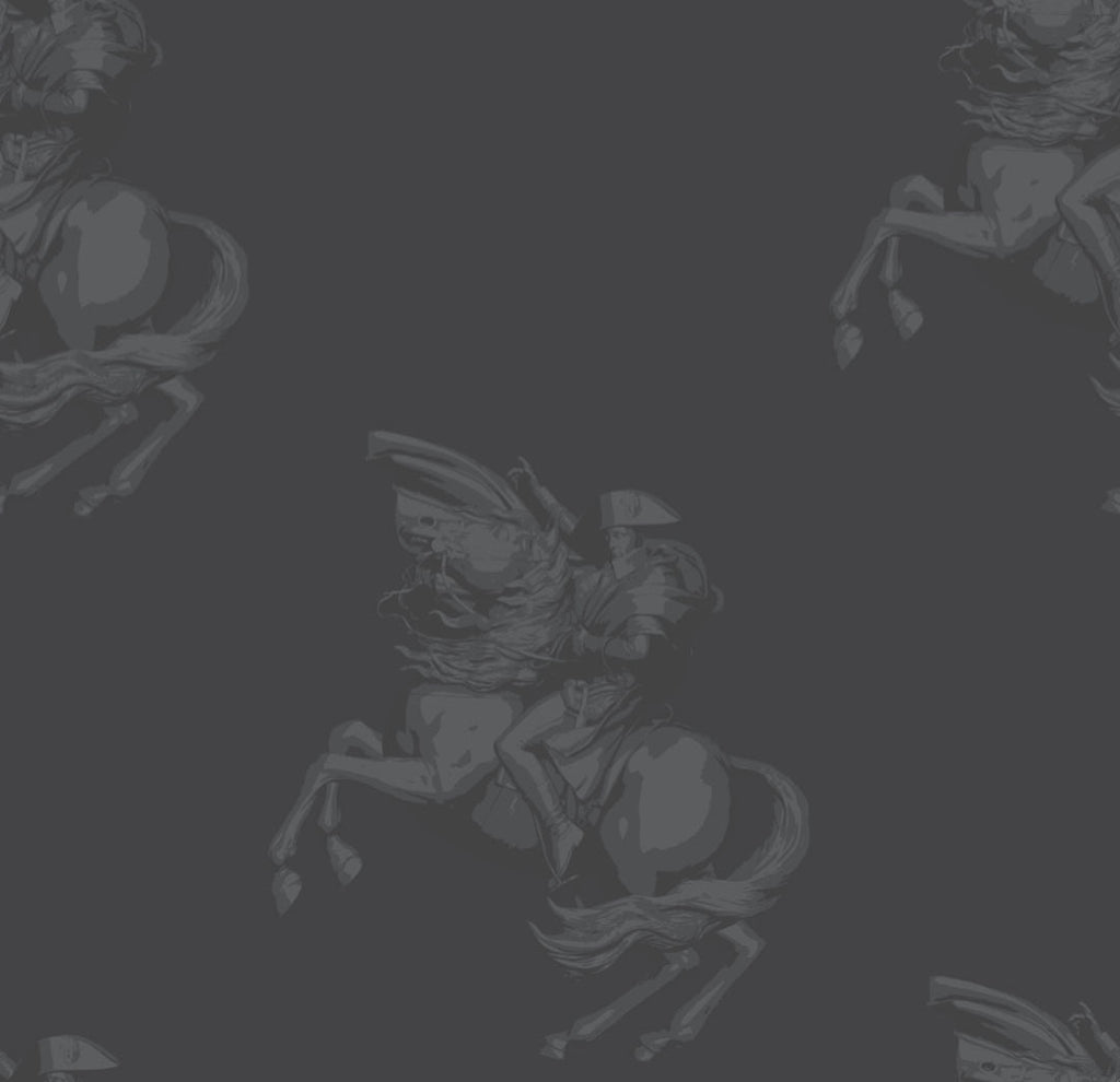 The Return of Napolean - Grey and Black -  |  Wallcovering | DW Bespoke Studios