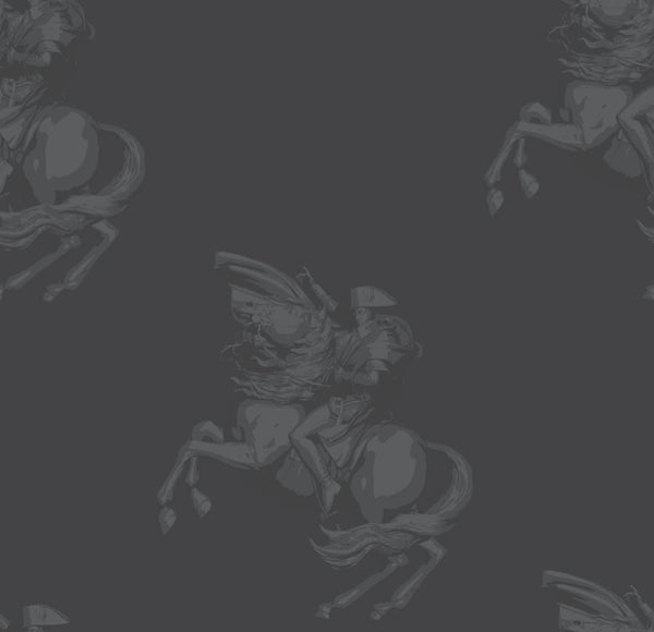 The Return of Napolean - Grey and Black -  |  Wallcovering | DW Bespoke Studios