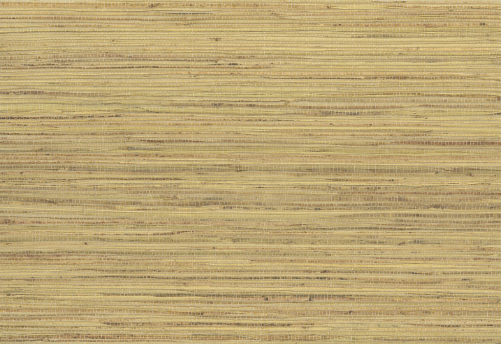 Provincetown-Banana Crepe Hemp Wallcovering | Phillipe Romano — HEMP-500230