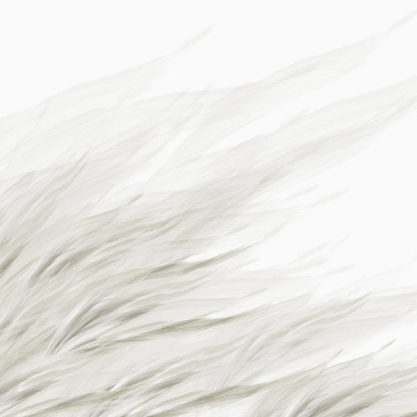 Tussock Fawn | Emma Hayes Wallcovering