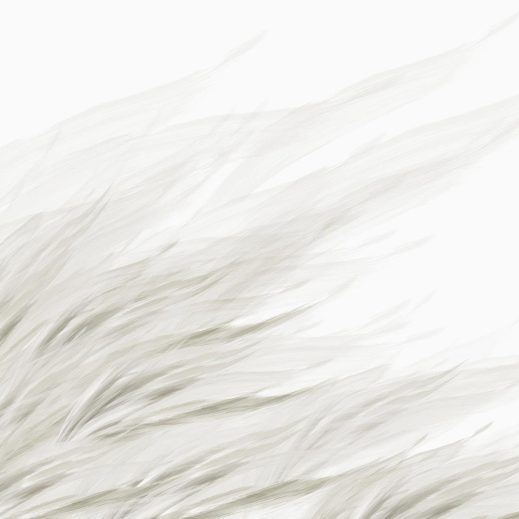 Tussock Fawn