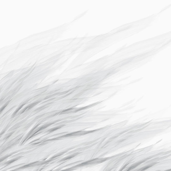 Tussock Grey | Emma Hayes Wallcovering