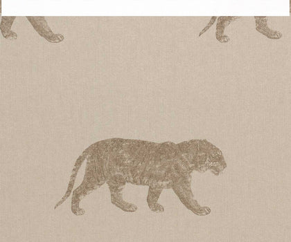 Cheetahs | Coordone Europe
