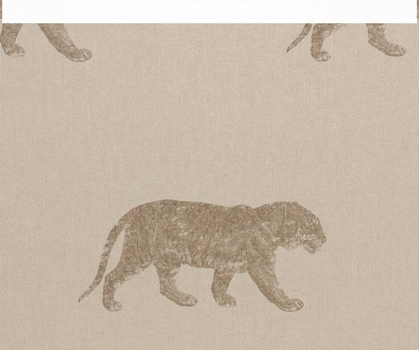 Cheetahs | Coordone Europe
